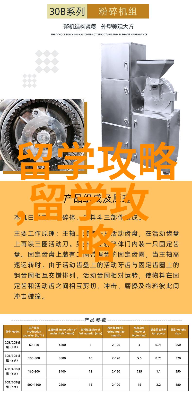 艺术生马来西亚留学的魅力与挑战