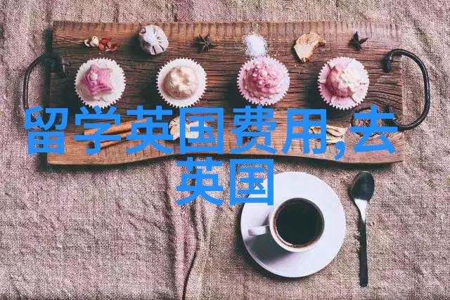 中央财经大学2023年公派留学生选派工作通知
