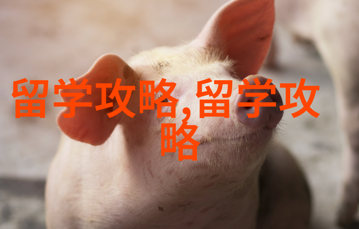 性价比之王韩国音乐留学优势