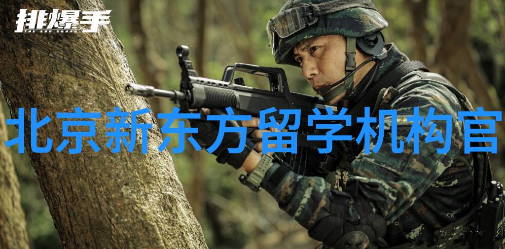 出国留学选哪个国家好