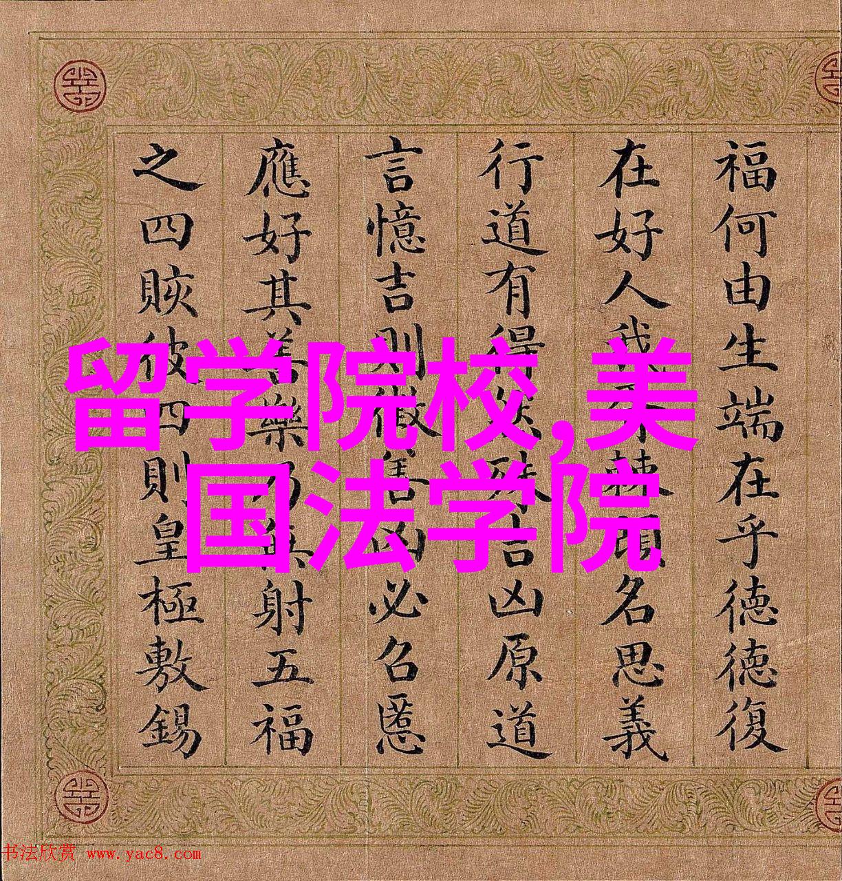 香港留学永居政策