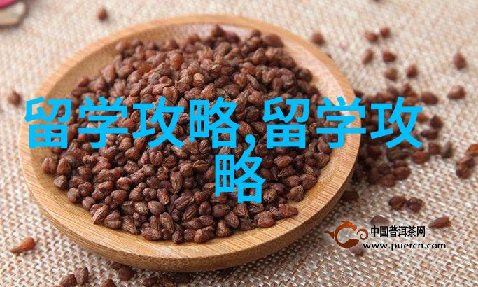 西那瓦国际大学举办2024新生拜师礼庆典