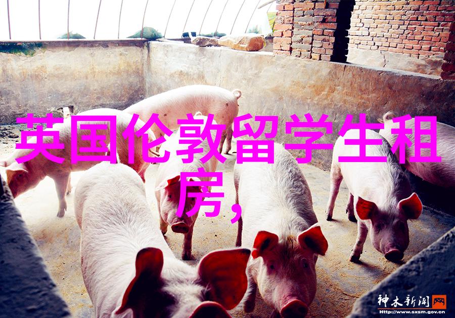 我的英国