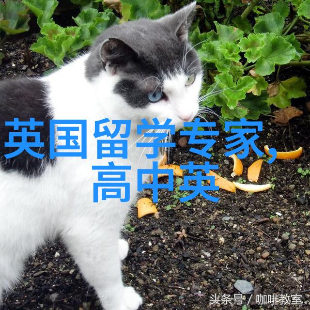 北京交通大学2023年选派博士生出国访学的通知
