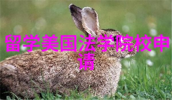 高考成绩在美国留学申请中的角色与价值