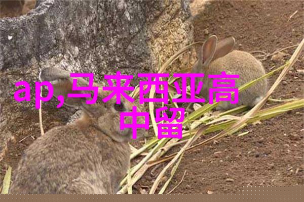 美国东北大学2025入学部分专业可免语言成绩