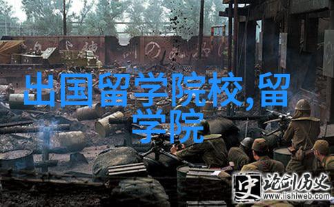 别搞错我是美国TOP 10但不是常春藤