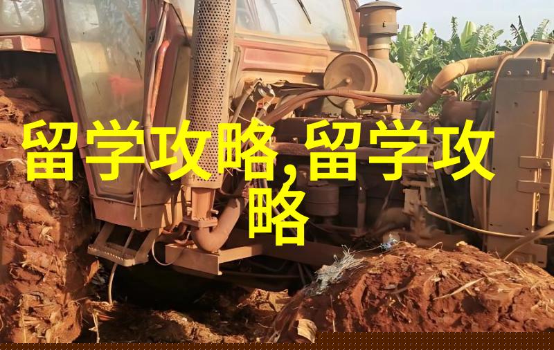 马来西亚留学 留学马来西亚之后的情况如何